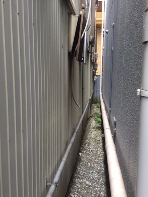 image1.JPG